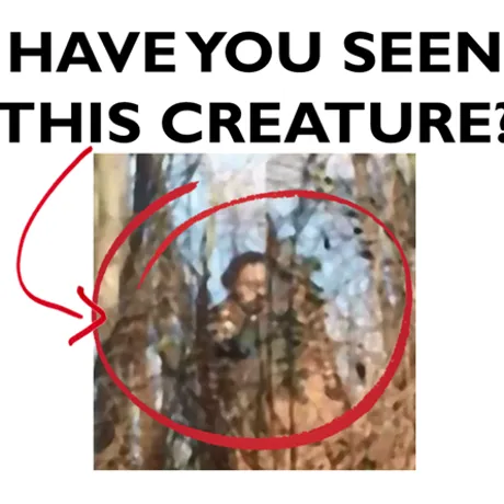 Have you seen this creature? With a distorted image