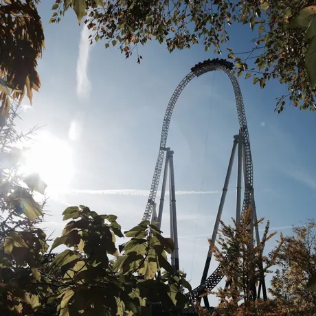 Stealth Rollercoaster viewed from a garden area