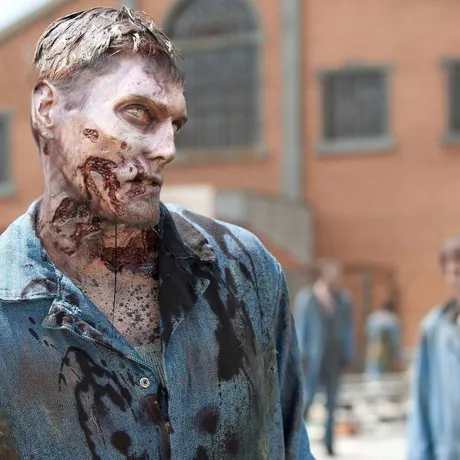 Walking Dead Walkers closeup