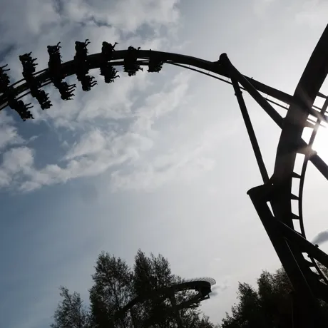 The Swarm Rollercoaster
